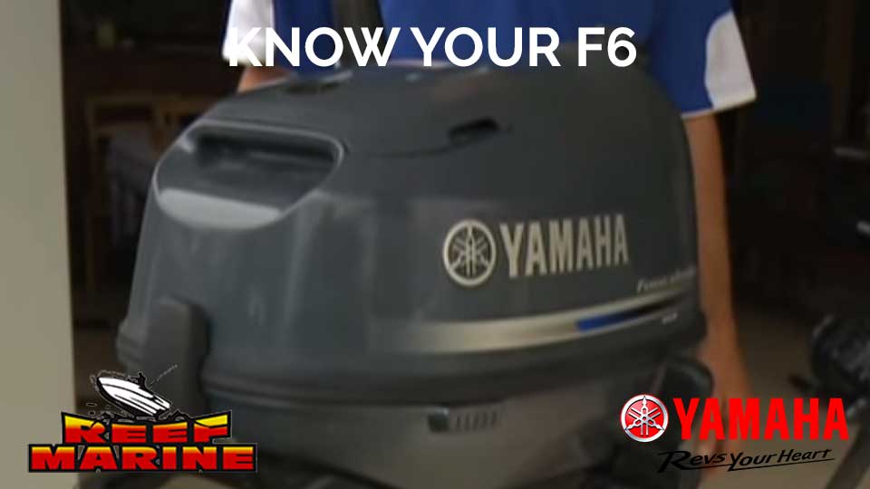 Get To Know Your Yamaha F6